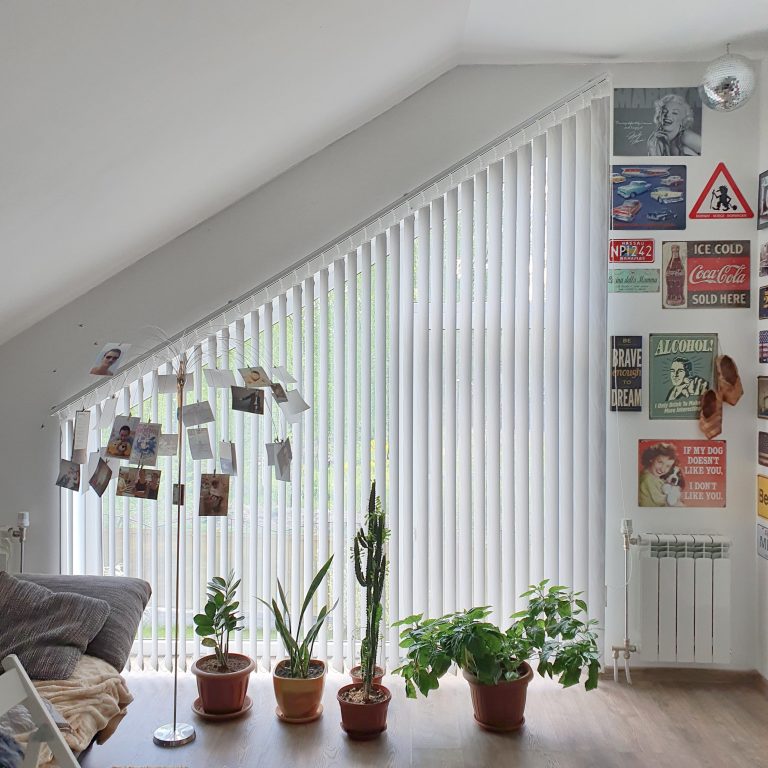 Обложка проекта